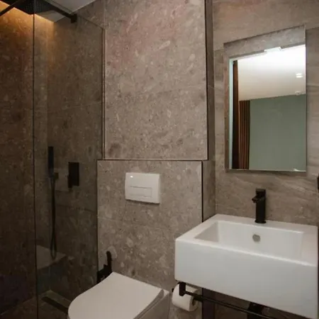 Flaer Hotel 4*